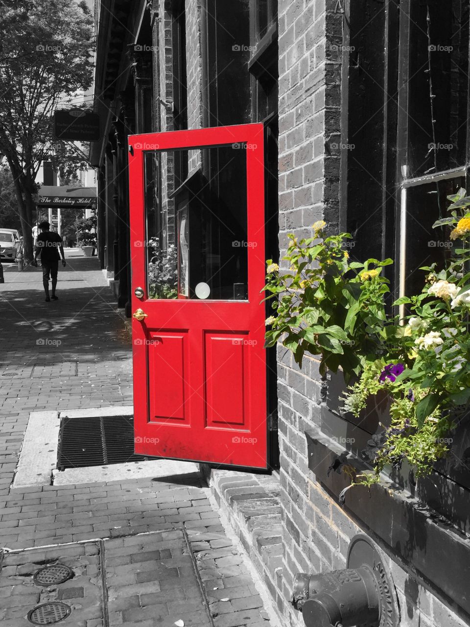 Red door 
