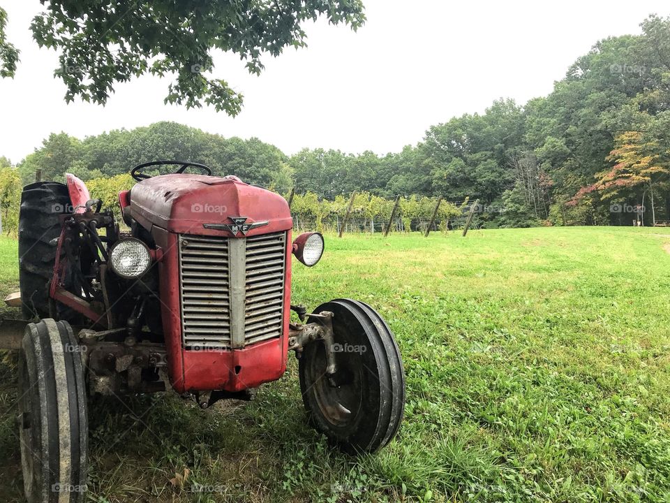 Red tractor in the vineyards 