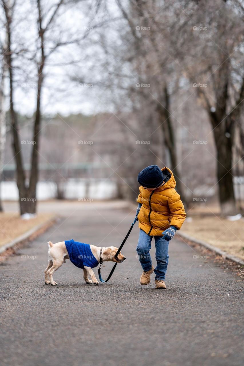 A boy in yellow jacket walking with his dog. Kids and pets. Cute cocker spaniel in blue sweater