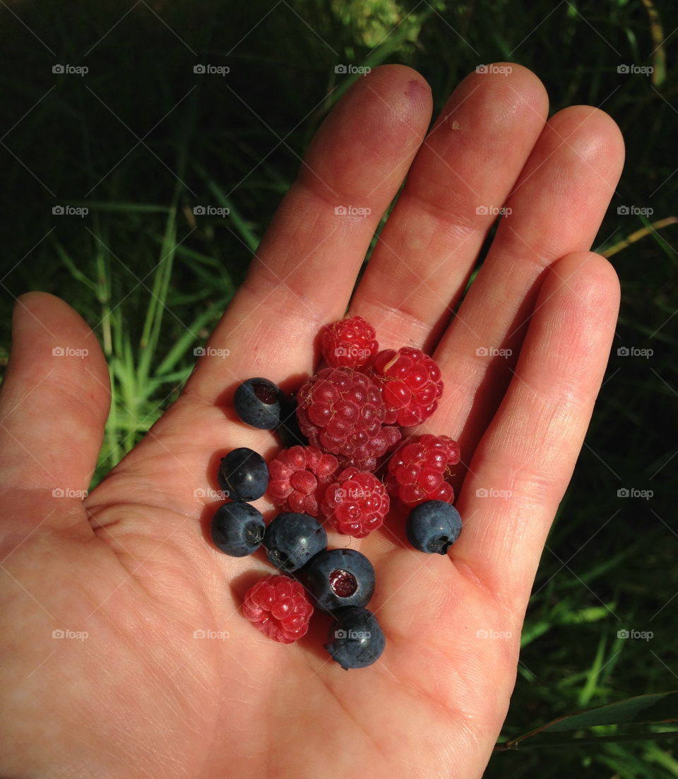 Summer berries