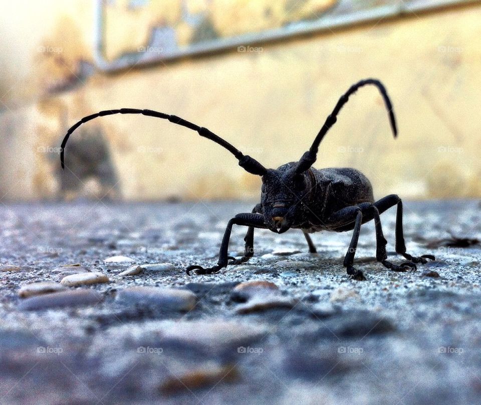 Ok, let's talk about it