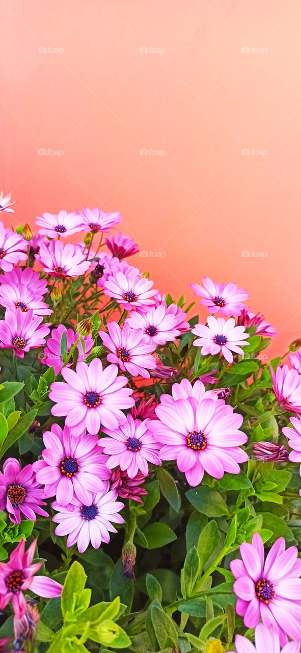 Street beauty of Italy