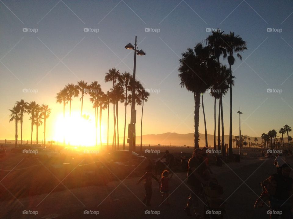 Venice Beach Sunset