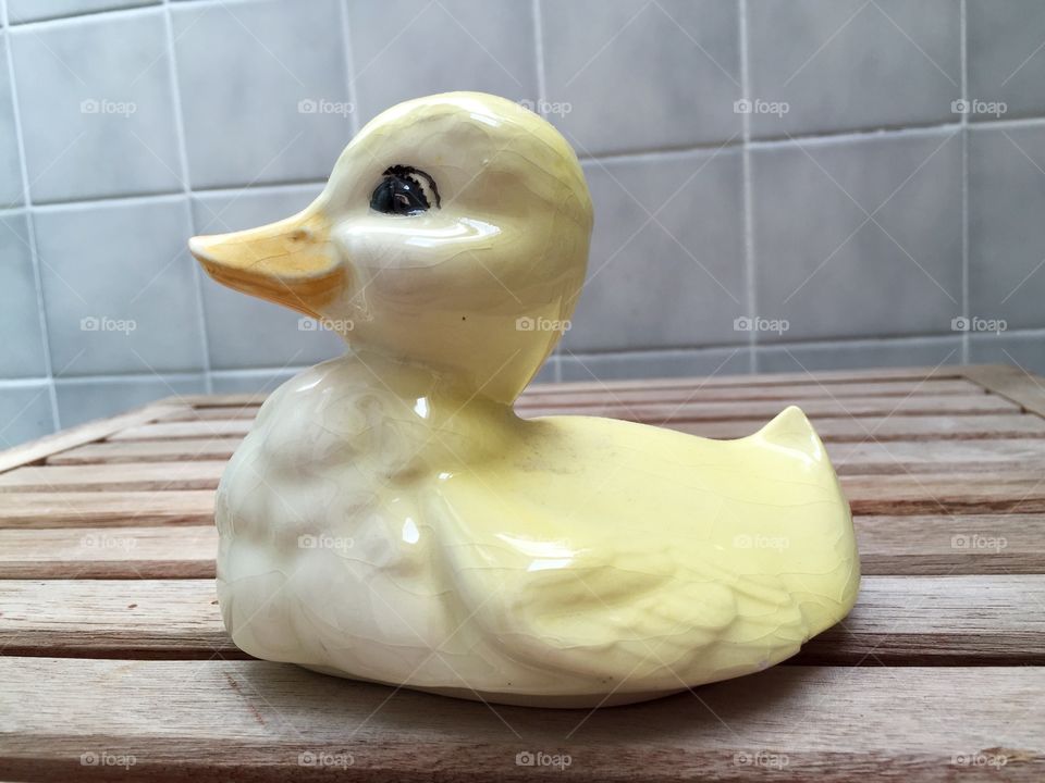 My duck