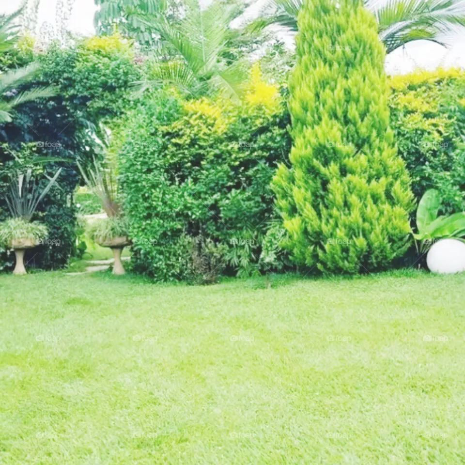 compound