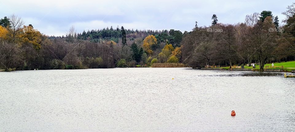 tilgate pond west sussex