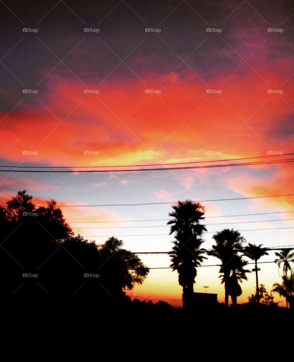 🌄🇺🇸 An extremely red dawn in Jundiaí, interior of Brazil. Cheer the nature! / 🇧🇷 Um amanhecer extremamente vermelho em Jundiaí- SP, interior do Brasil. Viva a natureza! 