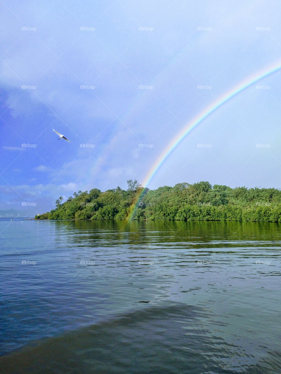Arco-íris... Aliança.