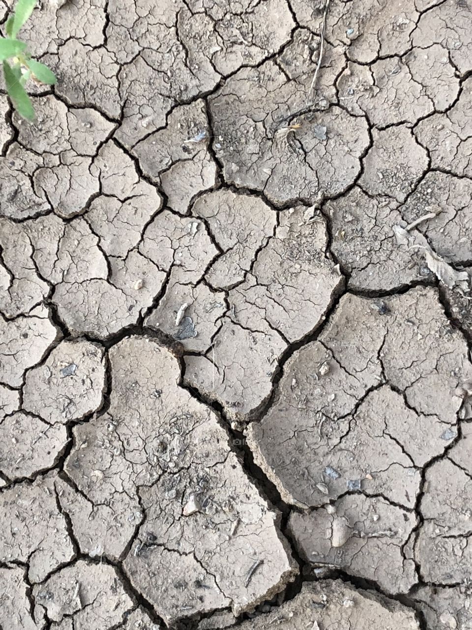 Drying out after the rain