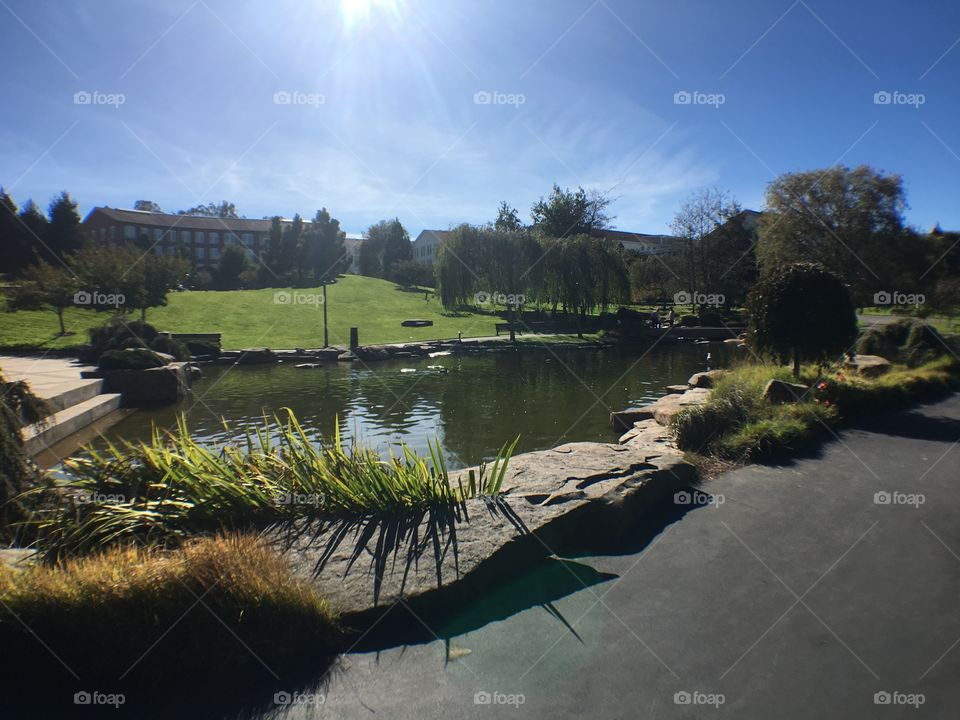 Beautiful park in San Francisco 