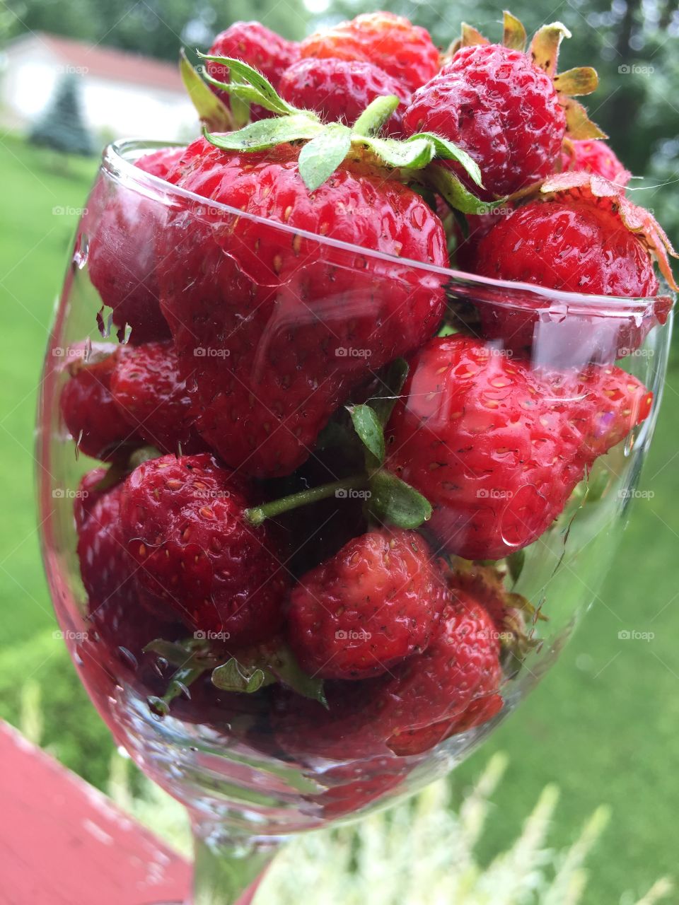 June is Strawberry time!