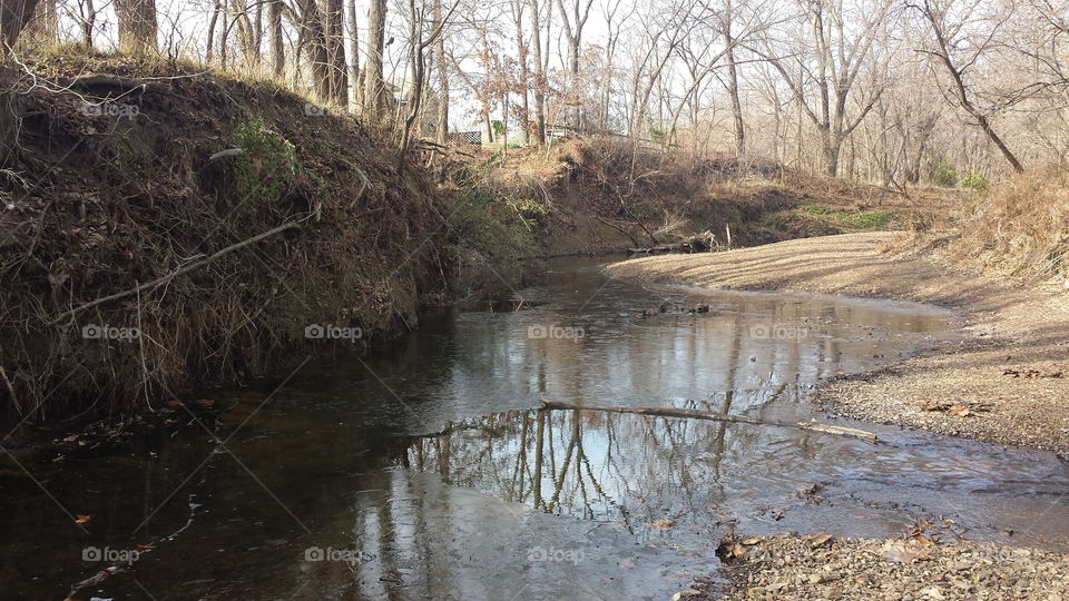 River near bare trees