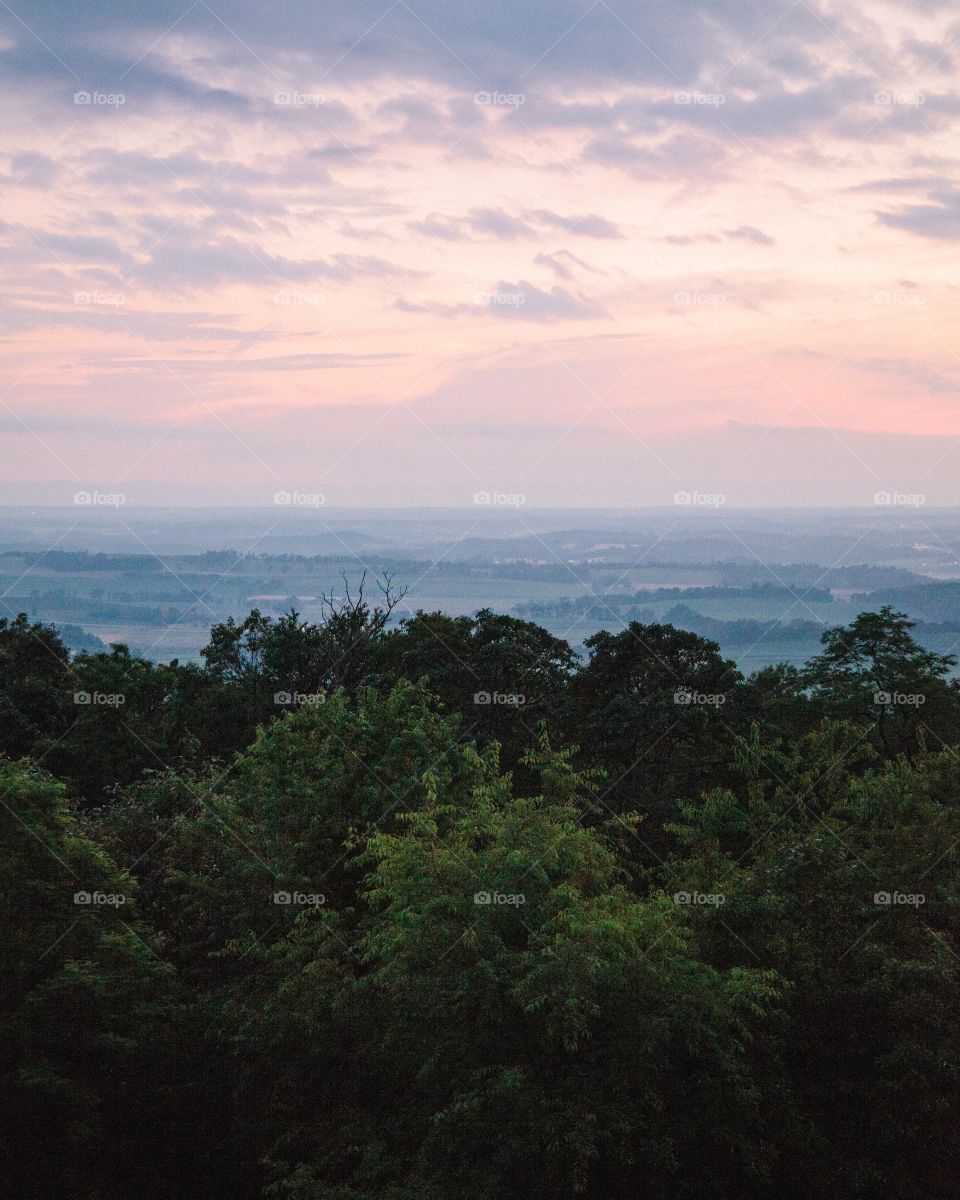 Landscape, Tree, Sky, Nature, No Person