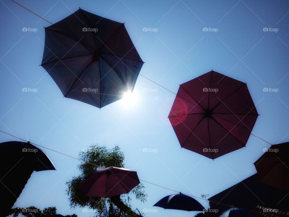 Umbrellas in the