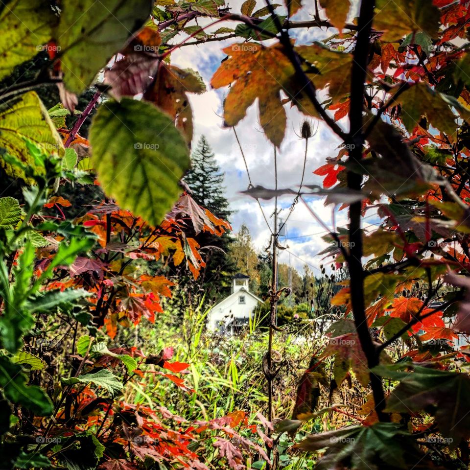 Hidden gems are all around, you just have to look for them. 