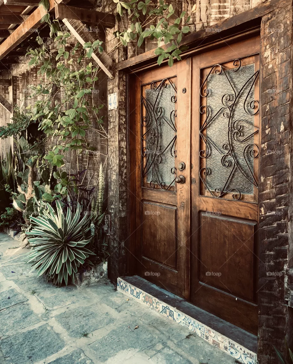 Door