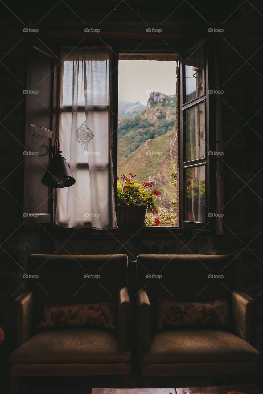 the window view