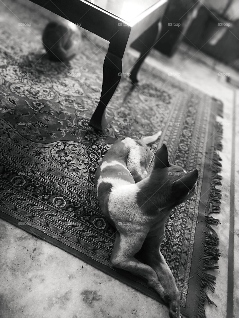 tired now no more game