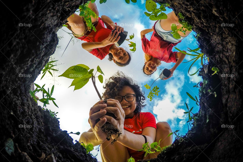 Tree and three