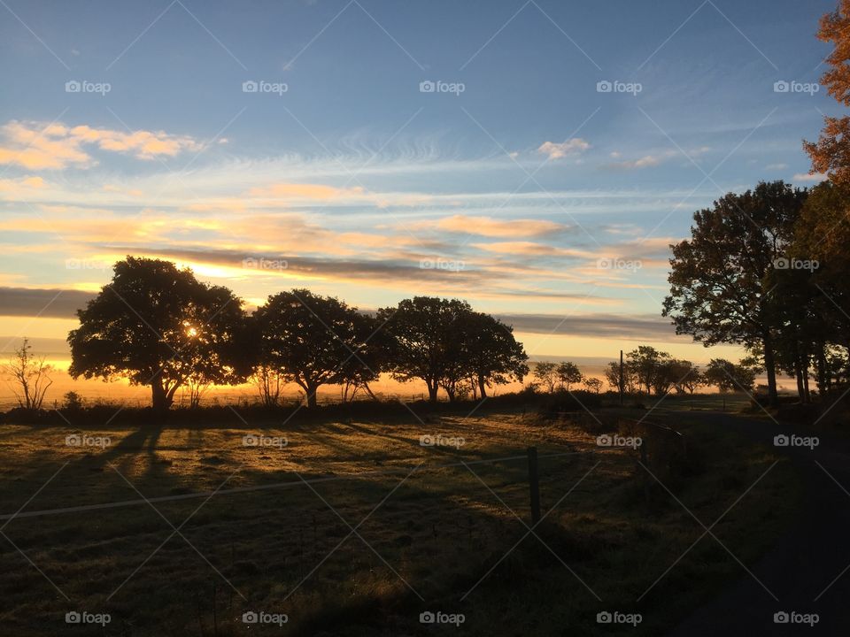 Sunset, Dawn, Tree, Landscape, No Person