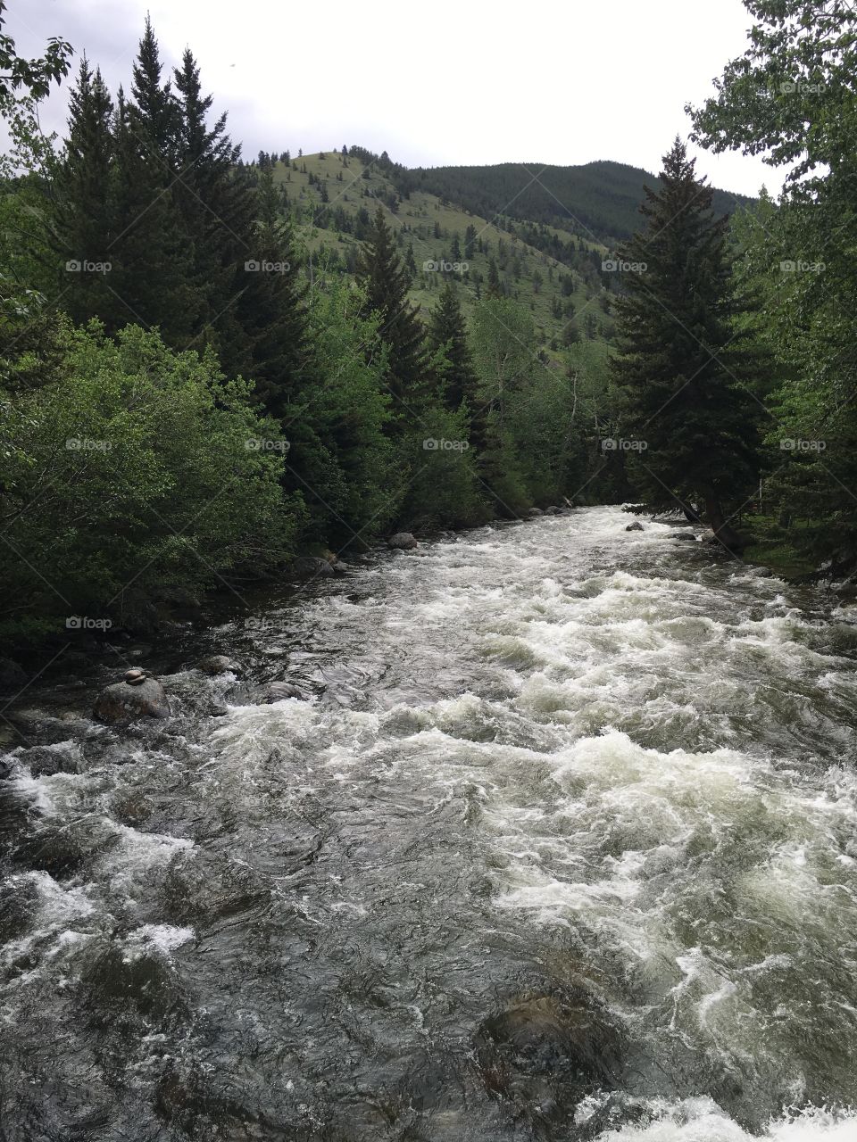 Mountain River 