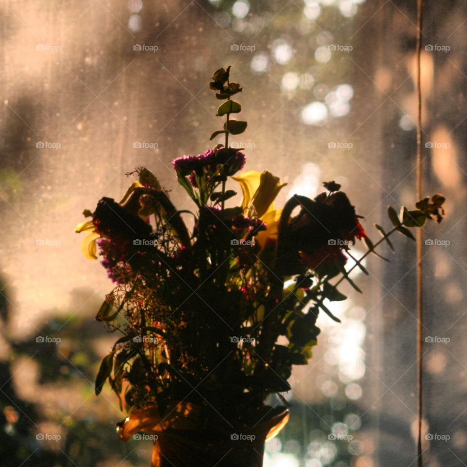 Tree, Bird, Flower, Leaf, Butterfly