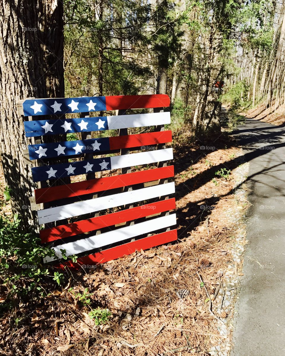 Wooden Flag