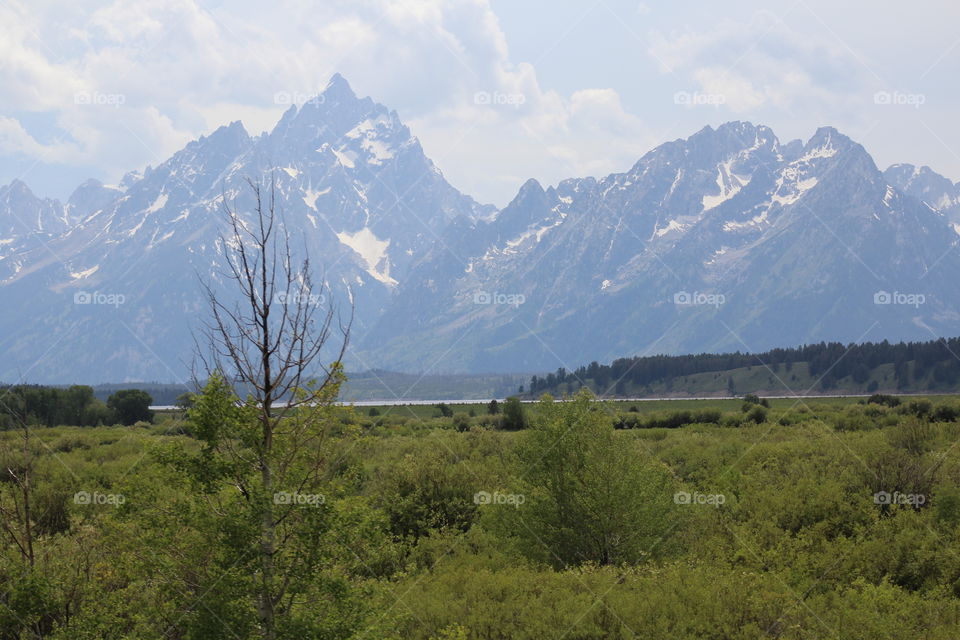 Tetons mountain mountains views scenic view Field Prairie beautiful snowy cloudy cloud mountainside green unedited