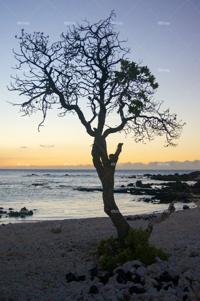 Silhouette at Sunset 