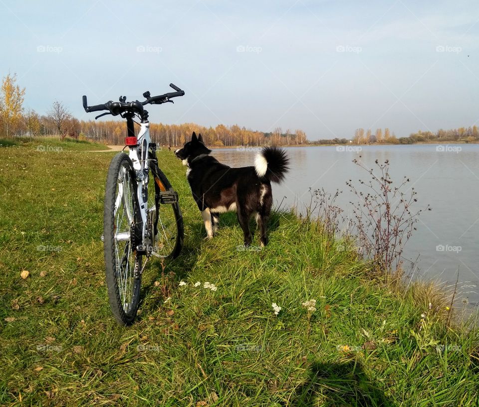 bike on a nature and dog blue sky beautiful background