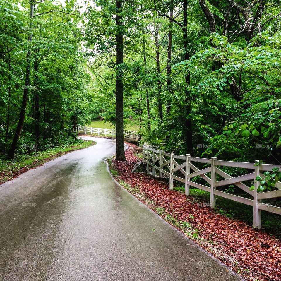 Narrow road . Curvy narrow roadway