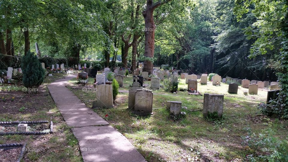church in the woods. st.leonards on sea