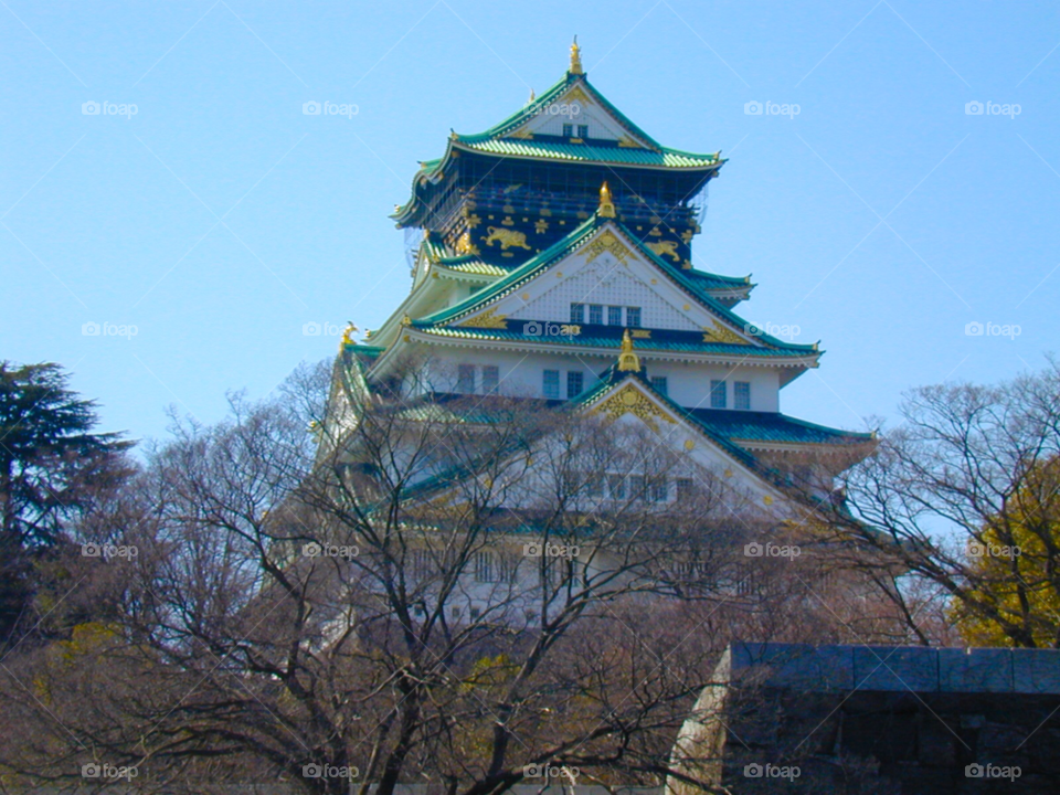 osaka japan travel tree building by cmosphotos