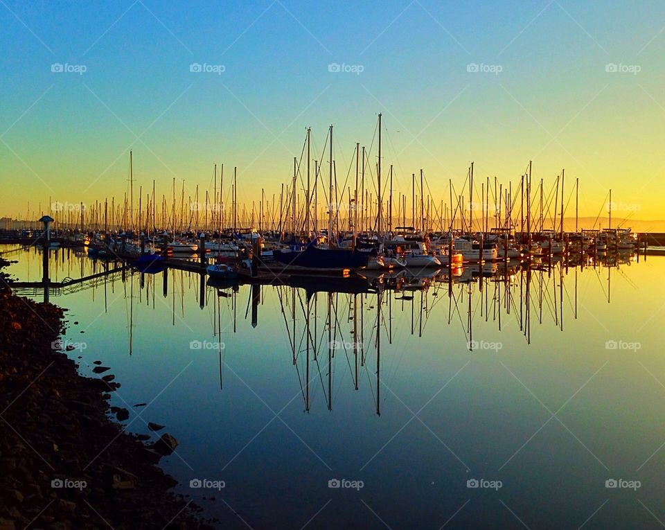 Boats at the Marina at Dawn 