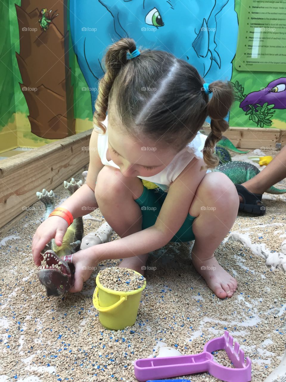 Digging up Dinosaurs