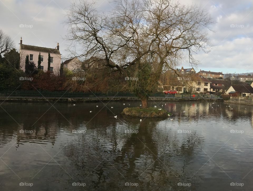 The small village of Cheddar in the county of Somerset in England is the birthplace of cheddar cheese. #Cheddar #England 
