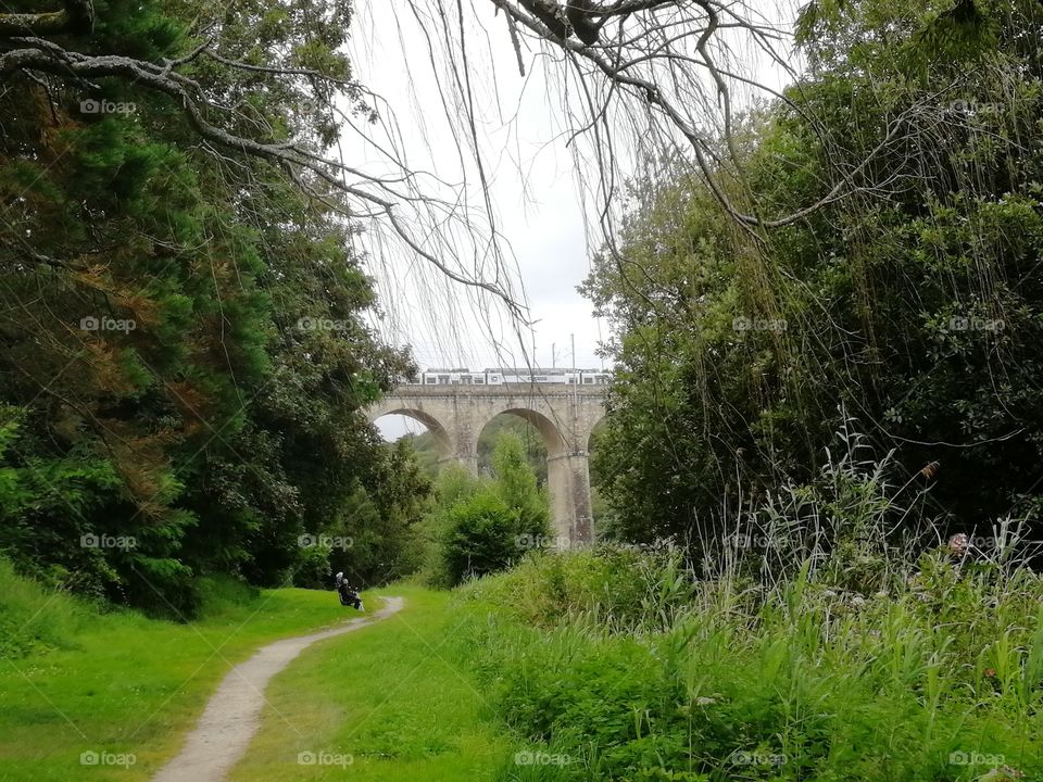 The rain ont the bridge