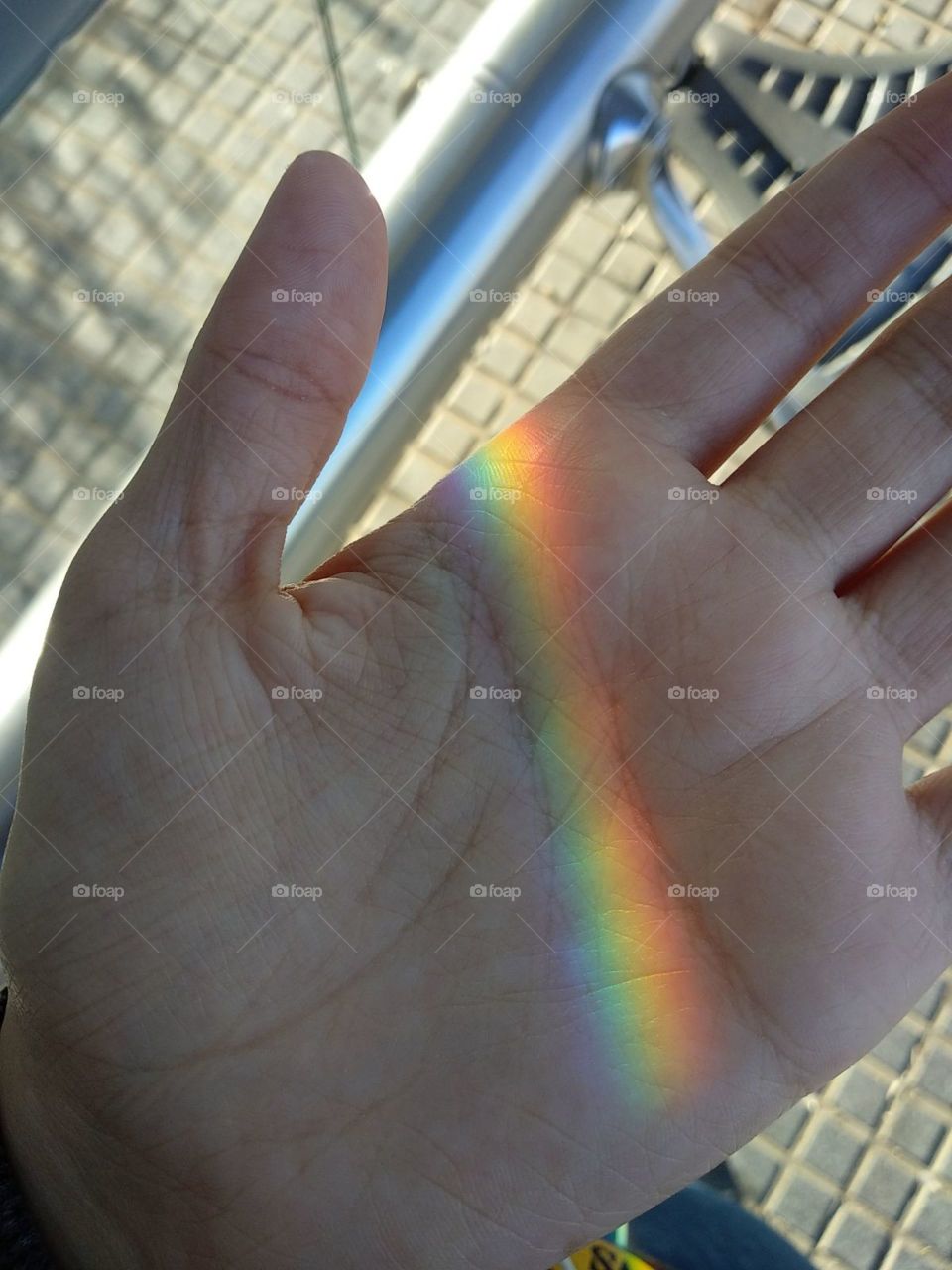 el arcoiris atrapado