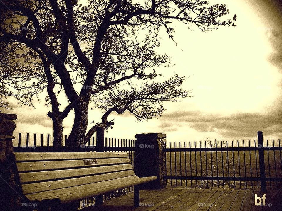 Sit And Enjoy The View