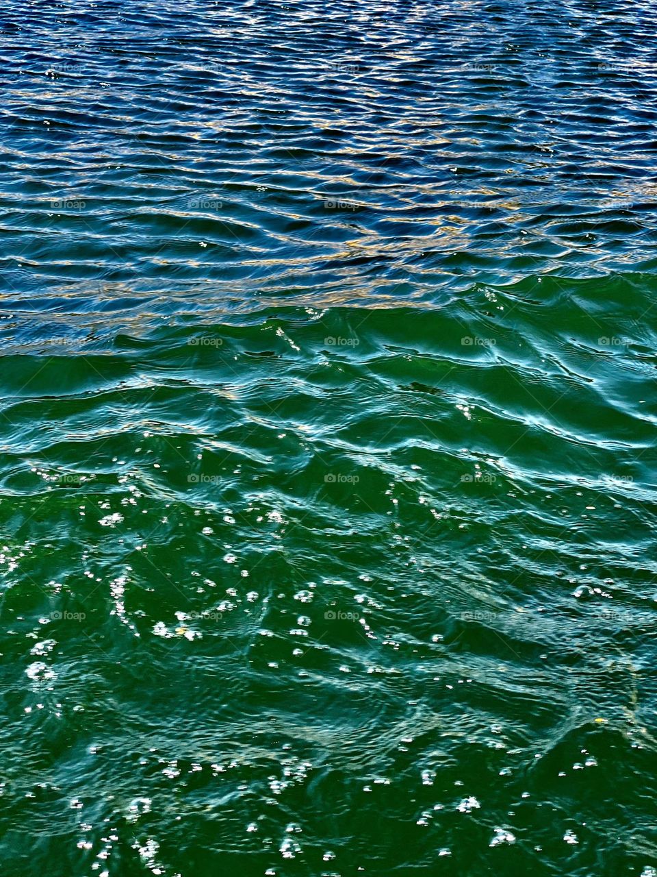 The water of the Nile River 