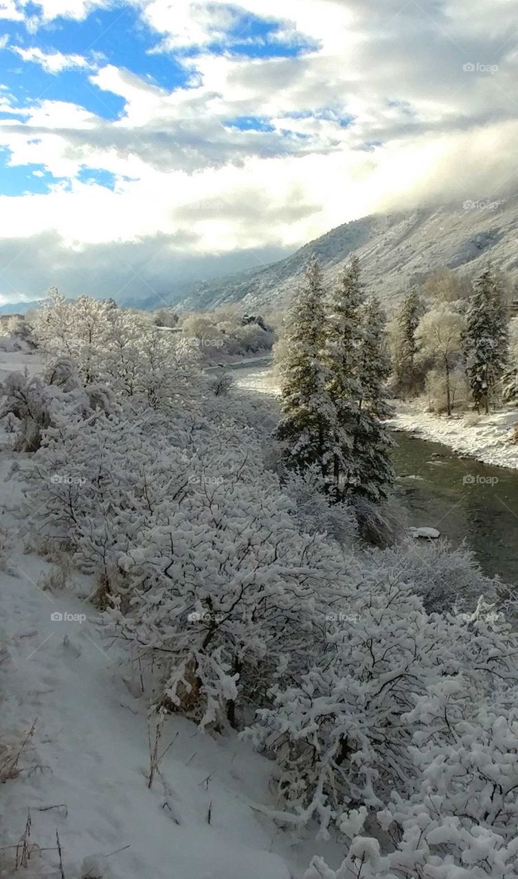 Captivating scene of a frozen winter morning