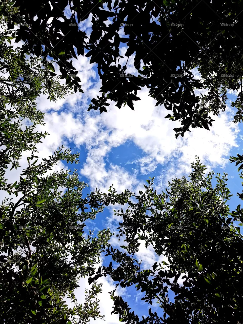 Sky view