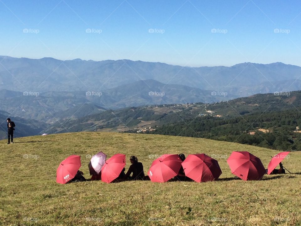 Red Umbrellas 