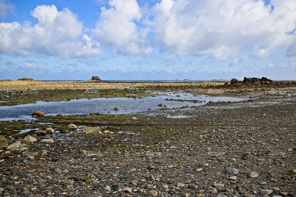 landscape with the sea