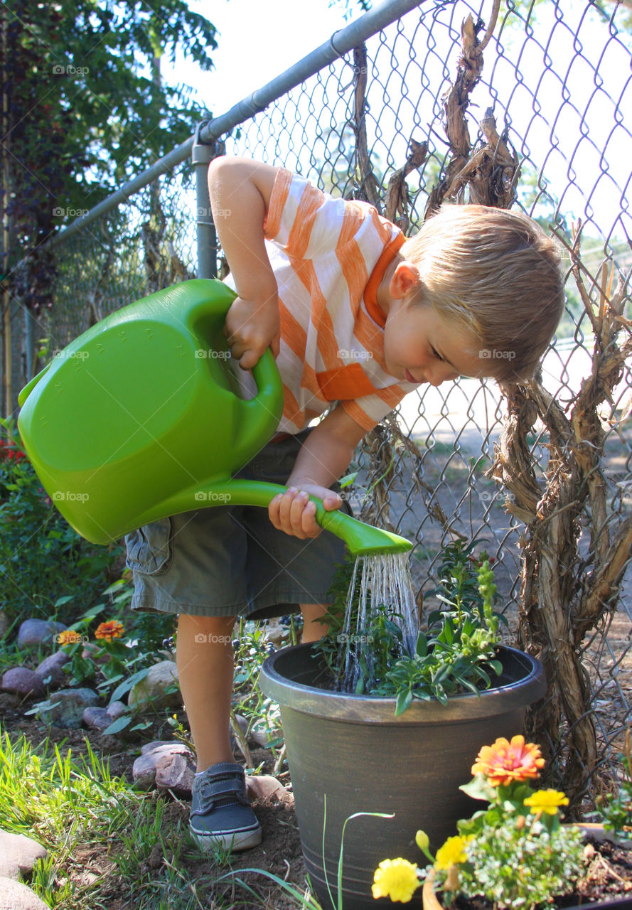Cute boy watering plants in the garden