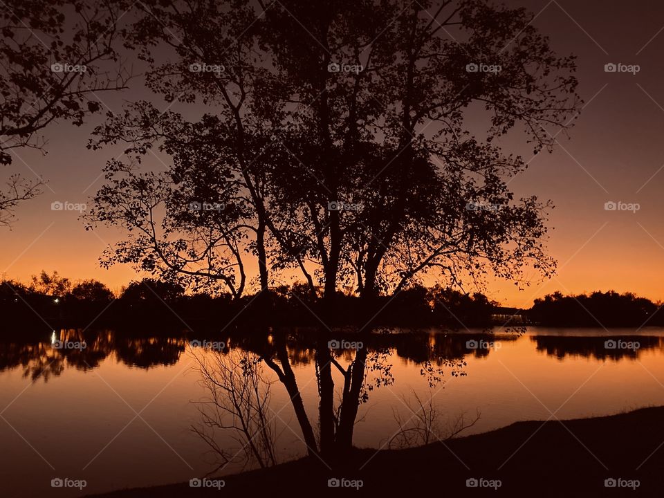 After Sundown twilight gleaming shadows from backlit Sunset silhouettes from twilight glow. 