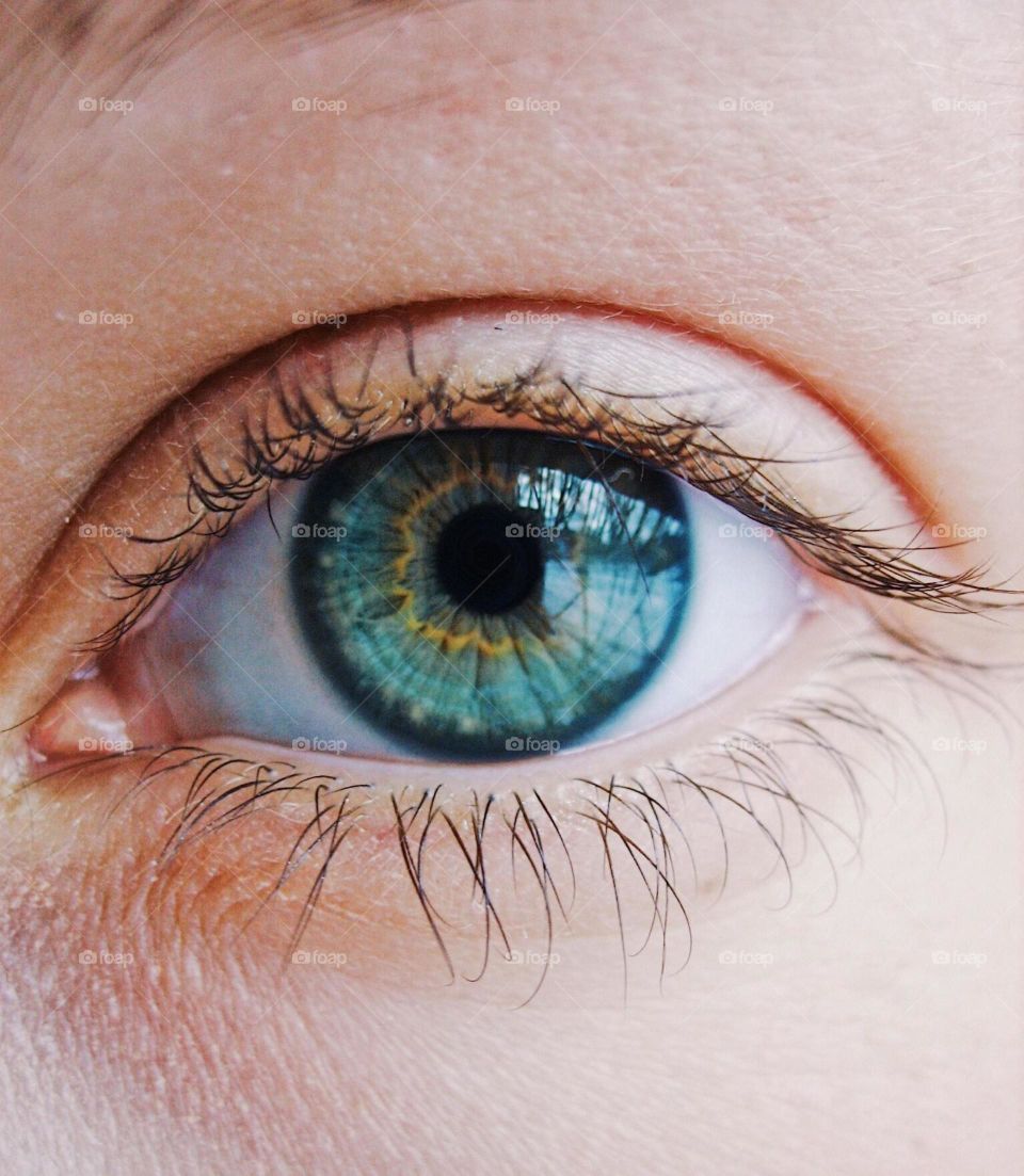 Close-up of a staring eye