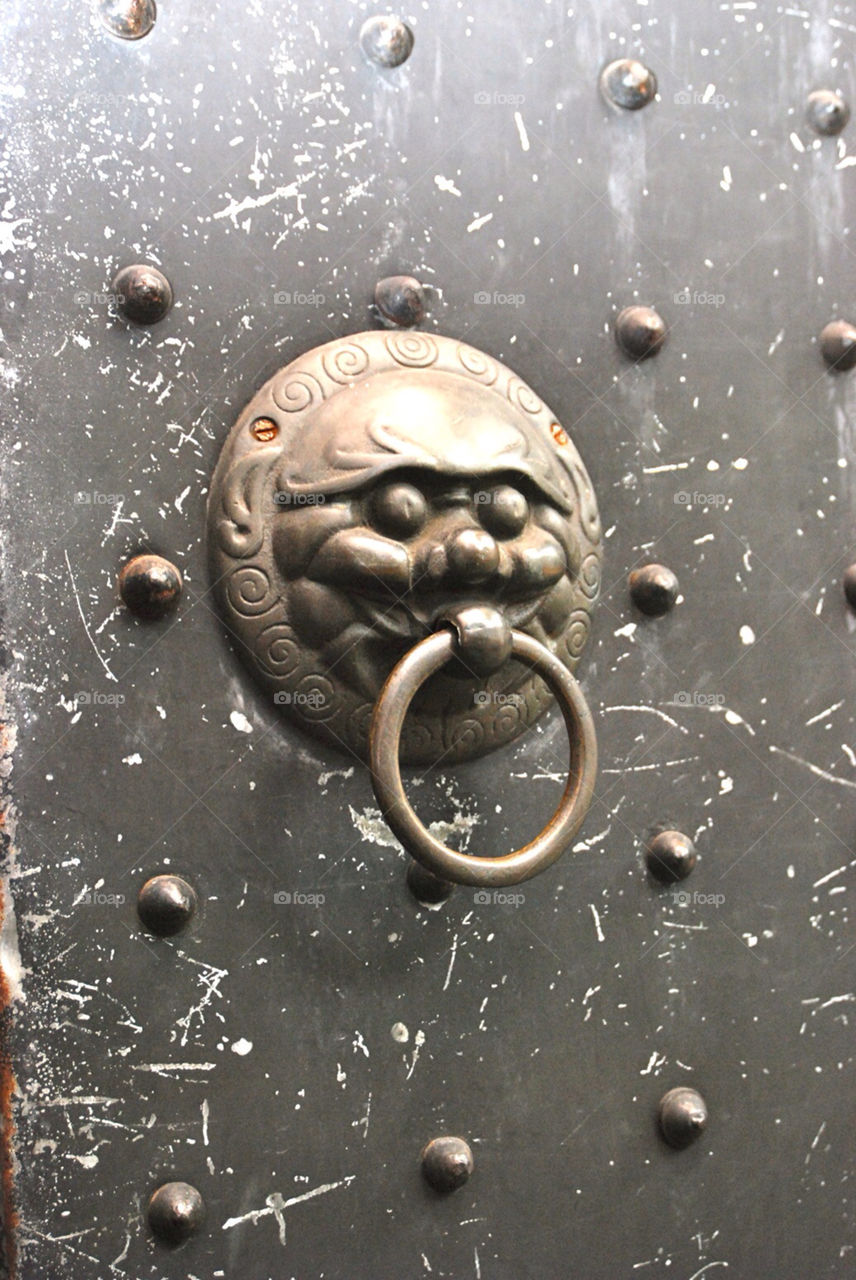 china door nose lion by cate