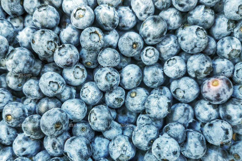 Blueberry background