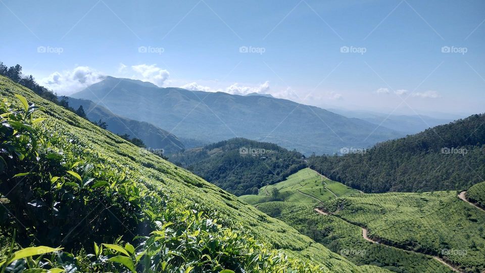 "Nature is pleased with simplicity." 